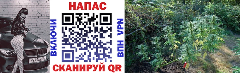 Купить наркоту Калачинск A PVP  БУТИРАТ  COCAIN  Конопля 