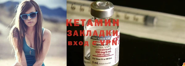 прущие грибы Бронницы